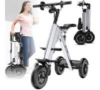Triciclo Elettrico per Adulti Con Seggiolino Genitore-Bambino, Triciclo Elettrico Leggero Con Batteria Rimovibile Da 36 V 10 Ah, Capacità Di Carico:100Kg