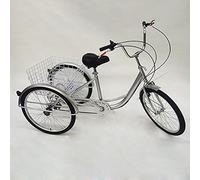 Triciclo per Adulti 24 Pollici, 3 Ruote Bici in Acciaio al Carbonio, 6 Velocità Cruise Bike City Bike con Luce e Cestino, Capacità 120 kg per Uso Urbano (argento)