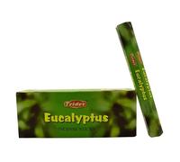Tridev Bastoncini di Incenso Eucalipto Agarbatti Confezione da 6X20g Ogni Con...