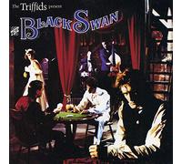 Triffids - Black swan