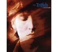Triffids - Calenture (2 CD)