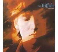Triffids - Calenture