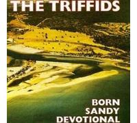 Triffids, the - Born Sandy Devotional