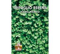 TRIFOGLIO REPENS Nano Bianco - SEMI