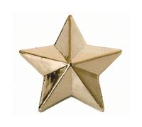 Trik Topz Coperture Valvole, Northern Star, Oro, per Harley - Davidson