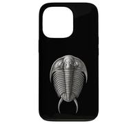 Trilobite Fossil Antico Artropode Dorsale Vista Paleontologia Custodia per iPhone 13 Pro