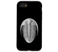 Trilobite Fossil Dorsale Vista Paleontologia Scientifica Arte Custodia per iPhone SE (2020) / 7/8