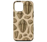 Trilobites Fossils and Rocks Pattern for Fossil Hunters Custodia per iPhone 12 mini