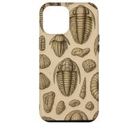 Trilobites Fossils and Rocks Pattern for Fossil Hunters Custodia per iPhone 12 Pro Max