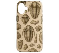 Trilobites Fossils and Rocks Pattern for Fossil Hunters Custodia per iPhone 16 Plus