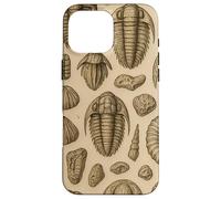 Trilobites Fossils and Rocks Pattern for Fossil Hunters Custodia per iPhone 16 Pro Max