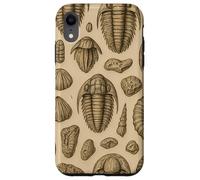 Trilobites Fossils and Rocks Pattern for Fossil Hunters Custodia per iPhone XR