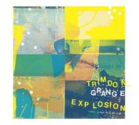 Trimdon Grange Explosion Dreams Buried Under the Sea (Vinyl LP) 12" Album