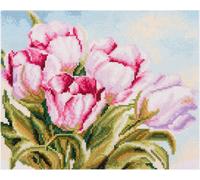 Trimits Contato Punto Croce Kit Grande: Tulipano, 36x36cm, Incluso Aida Tessuto