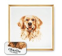 Trimits Kit Punto Croce Personalizzato Grande per Adulti Principianti, Decorazione da Parete per Amanti degli Animali, Proprietari di Cani, 11 Pezzi, 36x36 cm, Golden Retriever, Cornice Non Inclusa