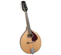 Trinity College tm-250 standard Celtic Mandolin - naturale top