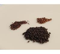 Trio de graines Aromatiques à semer - Le Grenier d'Abondance : Thym Romarin Basilic
