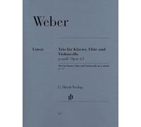 Trio g-moll Opus 63 - Buch