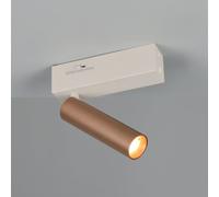 TRIO Leuchten Ambala faretto, LED, 1 luce, 849210165, Ambala [Lampade per Interni > Punti Luce e Faretti]