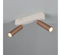 TRIO Leuchten Ambala faretto, LED, 2 luci, 849210265, Ambala [Lampade per Interni > Punti Luce e Faretti]