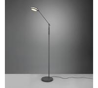 Piantana FRANKLIN LED con regolazione intensità più regolazione luce H.133 cm antracite 426510142