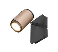 TRIO Leuchten Gillan faretto, GU10, 814570165, Gillan [Lampade per Interni > Punti Luce e Faretti]