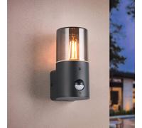 TRIO Leuchten Hoosic lampada a parete, E27, 222260132, Hoosic [Lampade per Esterni > Lampade a Parete]