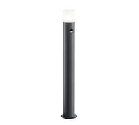 Palo alto led cilindro HOOSIC diffusore bianco h.80cm 422260142 antracite