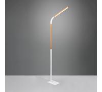 TRIO Leuchten Norris lampada da terra, a LED, 445210131, Norris [Lampade per Interni > Lampade da Terra]