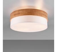TRIO Leuchten Seasons lampada a soffitto, E27, 611500301, Seasons [Lampade per Interni > Lampade a Soffitto]