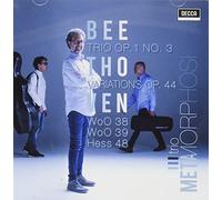 Trio Metamorphosi - Trii Per Pianoforte Op. 1 N.3 Woo 38 Woo 39 Movement Hess 48 14 Variazioni Op.44