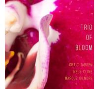 Trio Of Bloom Trio Of Bloom (CD)