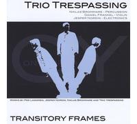 Trio Trespassing - Transitory Frames