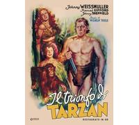 Trionfo Di Tarzan (Il) (Restaurato In Hd) (DVD) Frances Gifford Johnny Sheffield