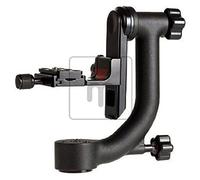 Triopo - Testa a bilanciere universale DG-2