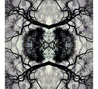 Tripp Dudley Sonic Mandala Go: Organic Orchestra (CD)