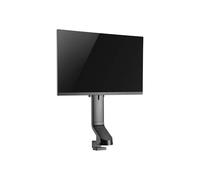 Tripp Lite (DDR1732SC) - Morsetto da scrivania per monitor singolo, altezza regolabile 17-32"