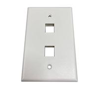Tripp Lite Safe-IT - Placca da parete Keystone a 2 porte con presa singola, applicazioni elettriche e AV, avorio opaco, conforme a TAA, garanzia del produttore (N042AB-002-IVM)