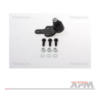 TRISCAN 8500 165033 Testina braccio oscillante