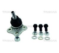 TRISCAN 8500 25561 Testina braccio oscillante per RENAULT Scénic III (JZ0/1)