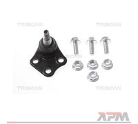 Triscan Braccio strutturale 8500 25595 per Renault Espace V Talisman