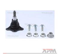 TRISCAN 8500 25599 Testina braccio oscillante
