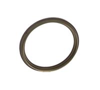 Triscan Anello sensore ABS 8540 29412 Posteriore per Audi A3, Seat Altea, Skoda, VW
