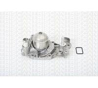 Triscan 8600 25011 - Pompa Acqua