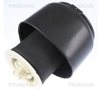 TRISCAN 8720 11201 Molla pneumatica, Autotelaio per BMW