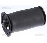 TRISCAN 8720 11202 Molla pneumatica