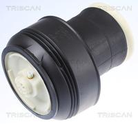 TRISCAN 8720 11203 Molla pneumatica