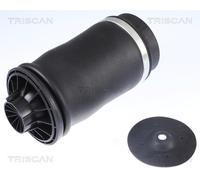 TRISCAN 8720 23204 Molla pneumatica