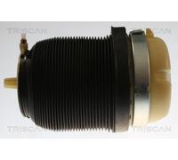 TRISCAN 8720 29202 Molla pneumatica, Autotelaio per AUDI