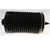 Triscan Ammortizzatore pneumatico 8720 29204